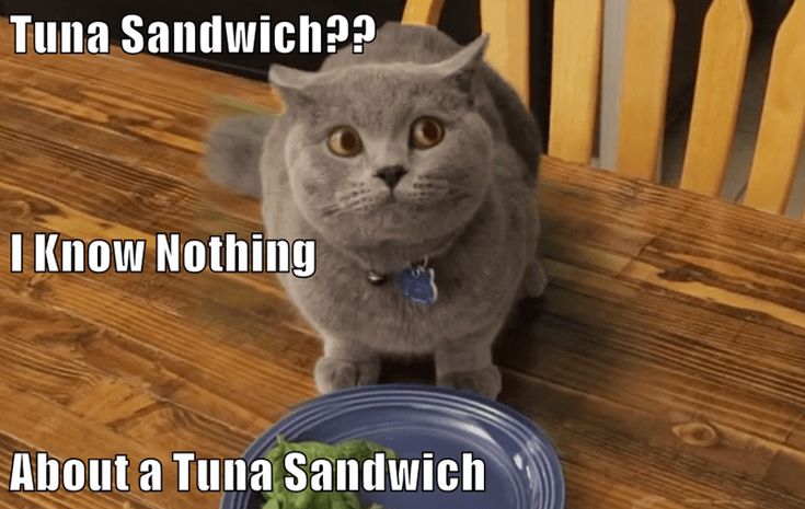 Extra-Large, Solid White Albacore Tuna Salad Gift Box 4 ... Cuba Home Delivery Included, Trackable.